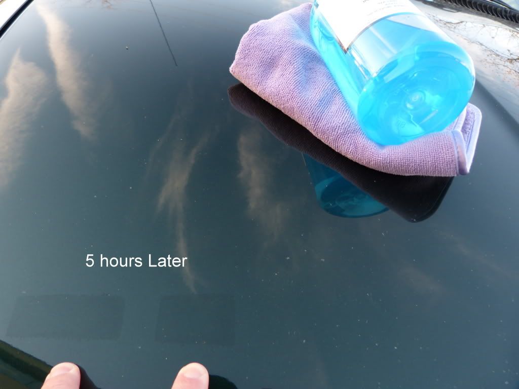 Review Solution Finish “Brings Black Back” (Trim Restoration Product)